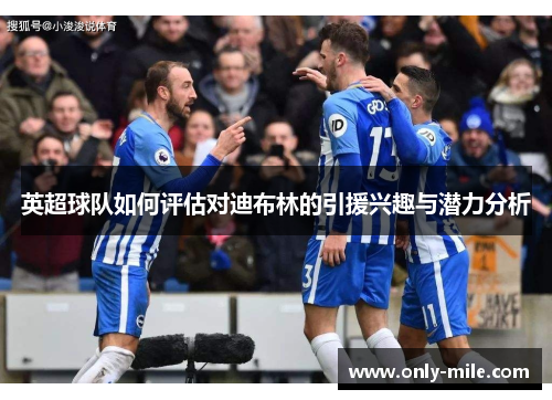 英超球队如何评估对迪布林的引援兴趣与潜力分析 英超球队如何评估对迪布林的引援兴趣与潜力分析