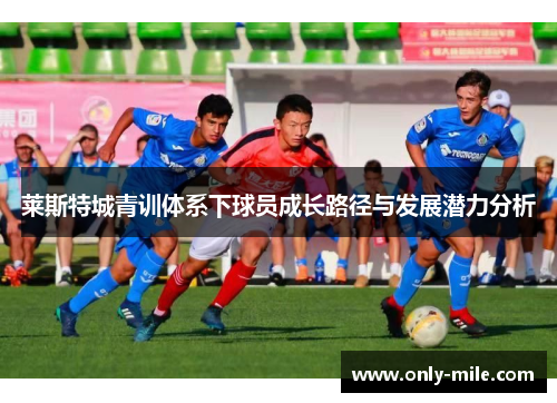 莱斯特城青训体系下球员成长路径与发展潜力分析 莱斯特城青训体系下球员成长路径与发展潜力分析