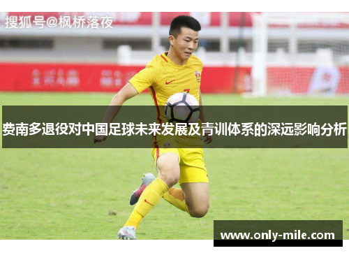 费南多退役对中国足球未来发展及青训体系的深远影响分析 费南多退役对中国足球未来发展及青训体系的深远影响分析