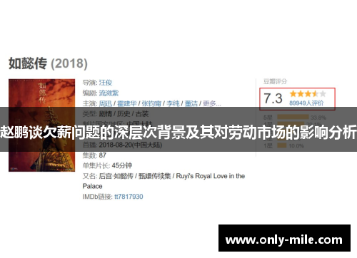 赵鹏谈欠薪问题的深层次背景及其对劳动市场的影响分析 赵鹏谈欠薪问题的深层次背景及其对劳动市场的影响分析