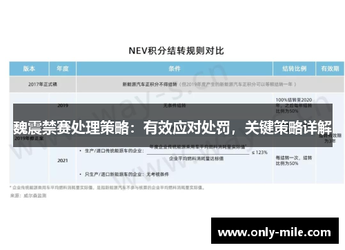 魏震禁赛处理策略:有效应对处罚,关键策略详解 魏震禁赛处理策略:有效应对处罚,关键策略详解