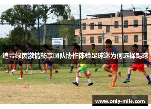 追寻绿茵激情畅享团队协作体验足球迷为何选择踢球